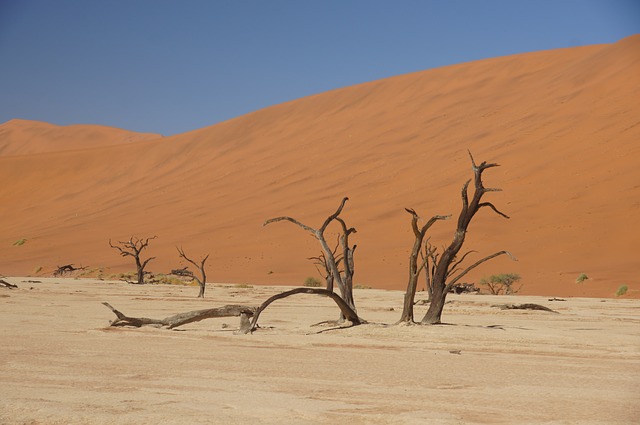 image alt text
